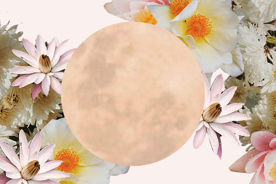 The Flower Moon: Manifest under the moonlight