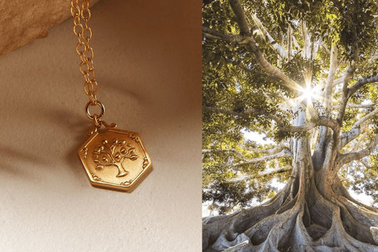 Everything You Should Know About the Tree of Life Symbol