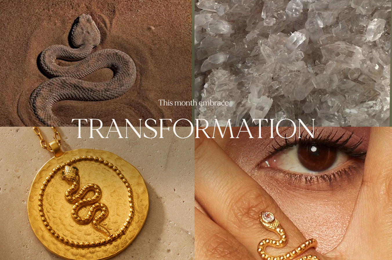 TRANSFORM this April