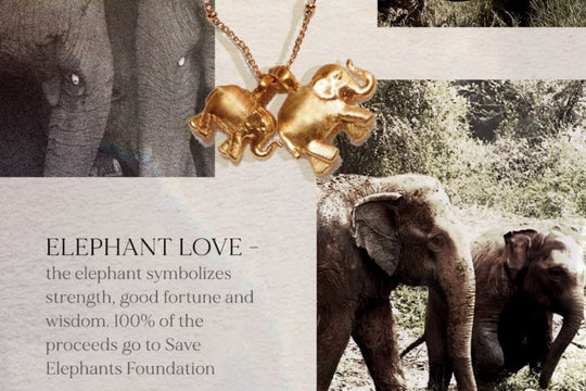 5 Animal Symbols and Their Spiritual Significance
