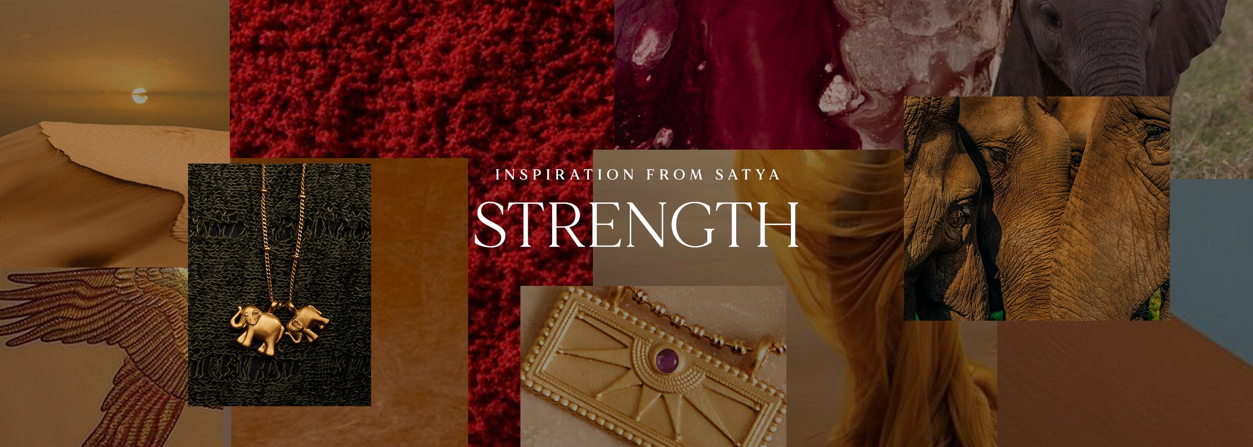 Find Strength this July
