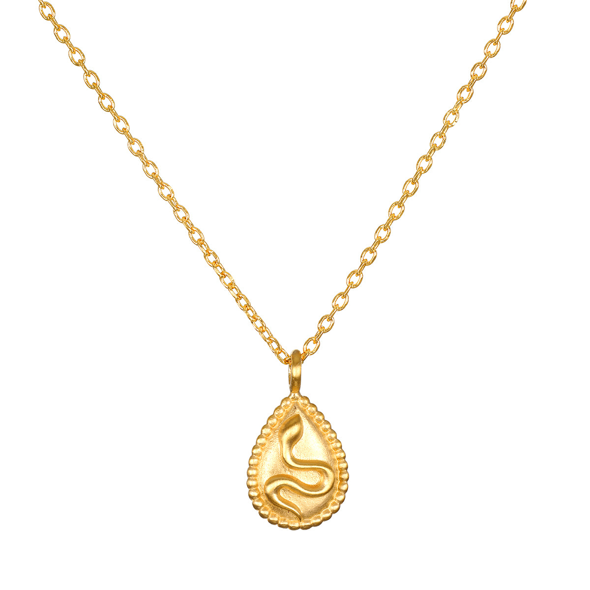 Shifting Consciousness Snake Necklace, an 18kt gold plated pendant featuring a delicate snake design; perfect for spiritual jewelry and meditation practices. This necklace embodies renewal and meaning, making it a great talisman for manifestation, protection, and yoga.