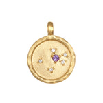 Zodiac Coin Charm featuring an amethyst gemstone, symbolizing spirituality and peace, a beautiful piece of spiritual jewelry perfect for meditation and manifestation.