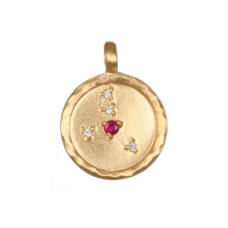Zodiac Coin Charms