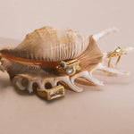 Gold-toned ring set with multi-colored gemstones including blue and clear stones, displayed on a decorative shell.