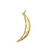 Taryn Truly Honor Your Growth  Moon Charm