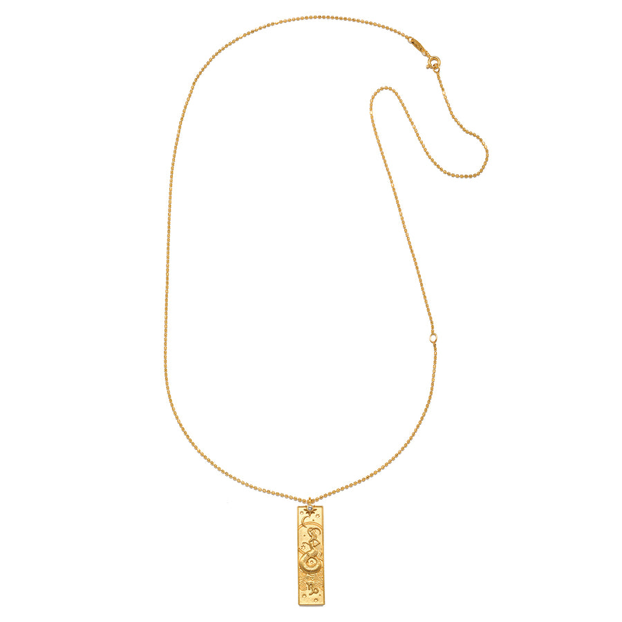 Story of Capricorn Zodiac Necklace