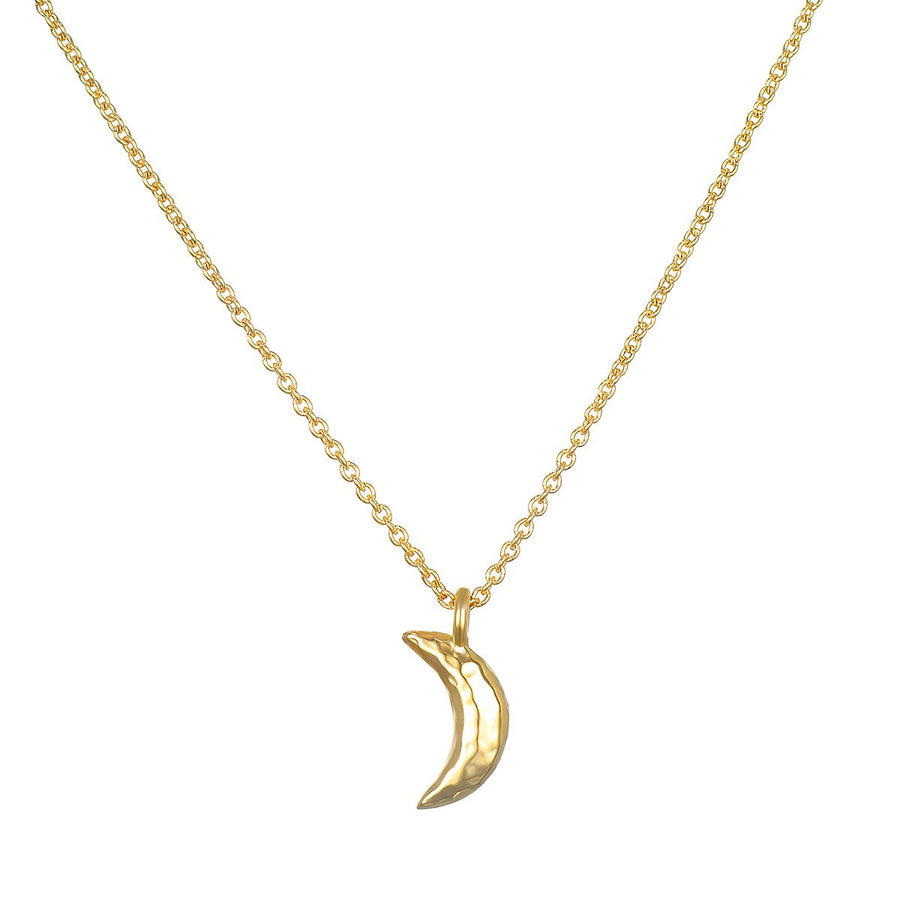 Moon 14kt Gold Pendant Necklace