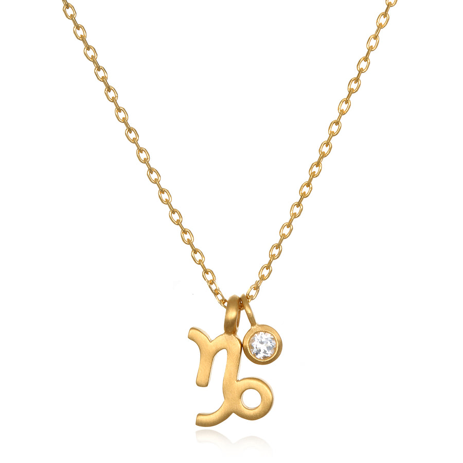 The AstroTwins Capricorn Zodiac Necklace - Satya Jewelry