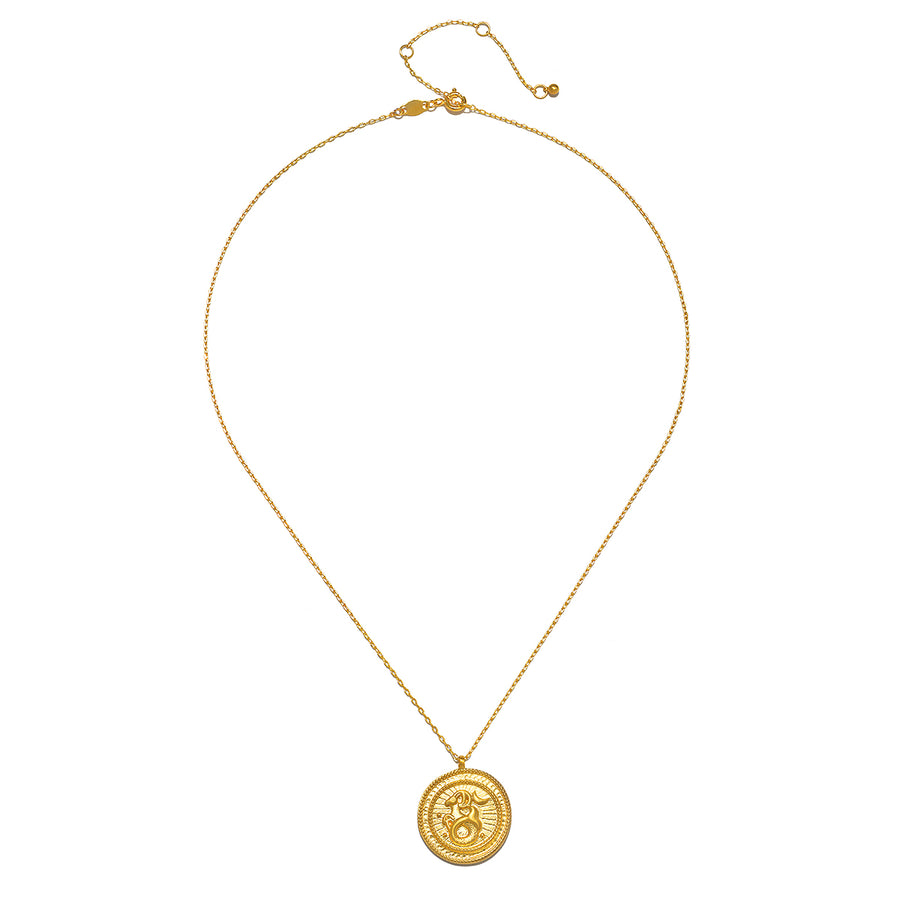 Capricorn Gold Zodiac Coin Necklace
